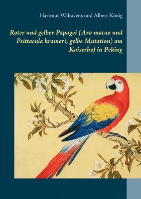 Roter und gelber Papagei (Ara macao und Psittacula krameri, gelbe Mutation) am Kaiserhof in Peking 1
