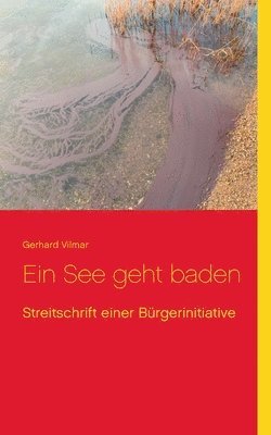 bokomslag Ein See geht baden