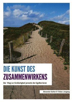 bokomslag Die Kunst des Zusammenwirkens