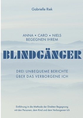 bokomslag Blindgnger