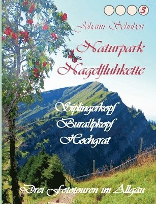 bokomslag Naturpark Nagelfluhkette Siplingerkopf Buralpkopf Hochgrat