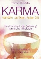 bokomslag Karma wandeln-auflösen-heilen 2.0