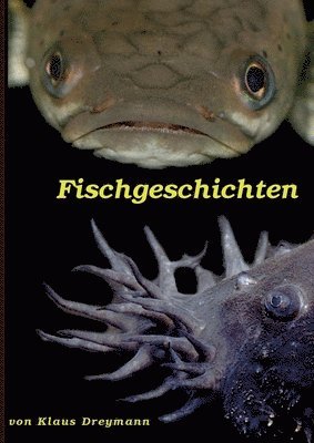 bokomslag Fischgeschichten