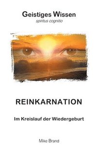 bokomslag Reinkarnation