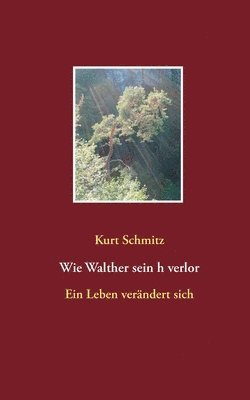 Kurt Schmitz - Wie Walther sein h verlor, Häftad