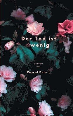 bokomslag Der Tod ist wenig