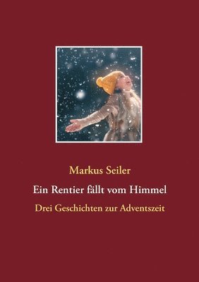 bokomslag Rentier fällt vom Himmel