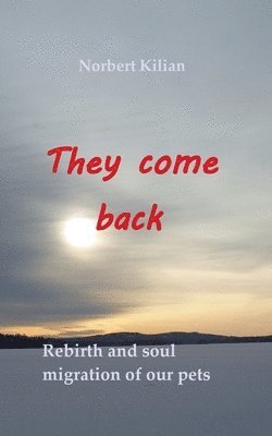 They come back 1