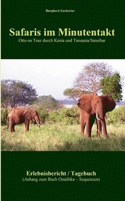 bokomslag Safaris im Minutentakt