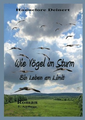 Wie Vögel im Sturm