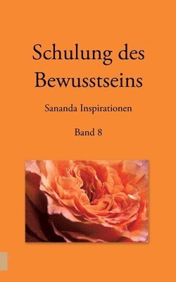 bokomslag Schulung des Bewusstseins - Sananda Inspirationen