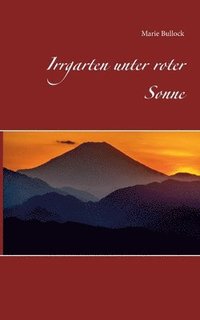 bokomslag Irrgarten unter roter Sonne