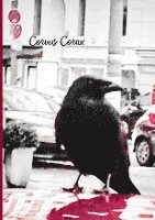 bokomslag Corvus Corax