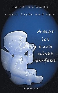 bokomslag Amor ist auch nicht perfekt