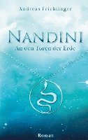 bokomslag Nandini - An den Toren der Erde