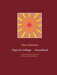 bokomslag Magie fr Anfnger - Sammelband III