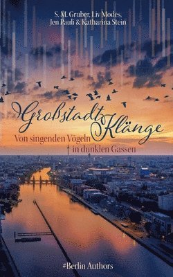 S M Gruber, LIV Modes, Jen Pauli, S. M. Gruber, Liv Modes, Katharina Stein - Großstadtklänge, Häftad