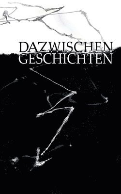 Christine M Brella, Julia E Dietz, Rebecca Ahlen, Katharina Maier - Dazwischengeschichten, Häftad