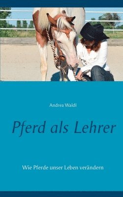 Pferd als Lehrer 1