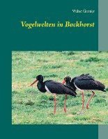 bokomslag Vogelwelten in Bockhorst