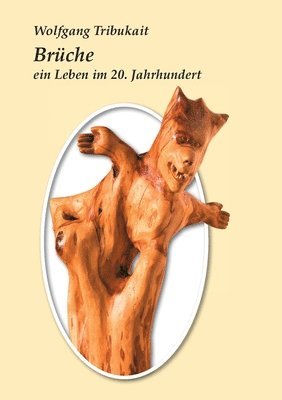 bokomslag Brüche