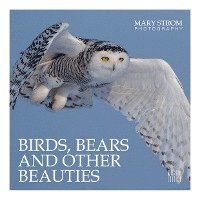 Birds, Bears and other Beauties 1