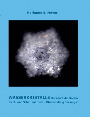 Wasserkristalle Botschaft der Seelen 1