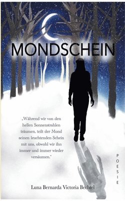 Mondschein 1