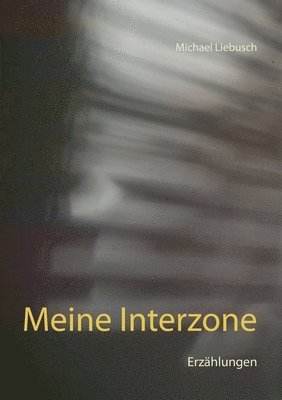 bokomslag Meine Interzone