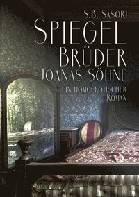 bokomslag Spiegelbrüder