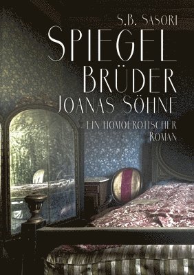 bokomslag Spiegelbrüder