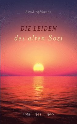 bokomslag Leiden des alten Sozi