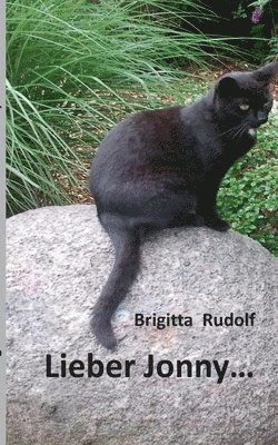 Brigitta Rudolf - Lieber Jonny, Häftad