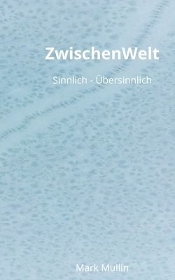 bokomslag ZwischenWelt