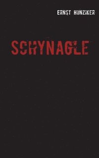 bokomslag Schynagle