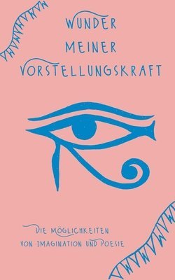 bokomslag Wunder meiner Vorstellungskraft