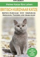 bokomslag Britisch Kurzhaar Katze