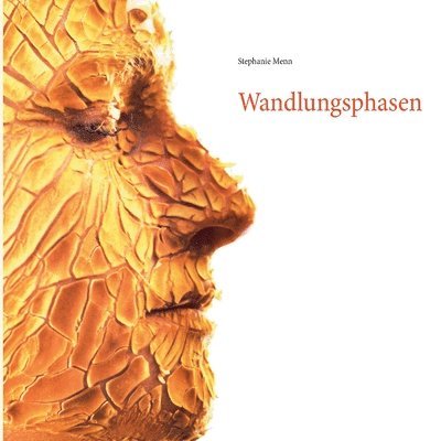 Wandlungsphasen 1