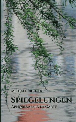Michael Richter - Spiegelungen, Häftad