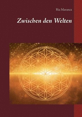 Zwischen den Welten 1