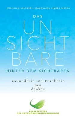 Christian Schubert, Magdalena Singer - Unsichtbare hinter dem Sichtbaren, Häftad