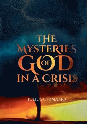 bokomslag Mysteries Of God In A Crisis