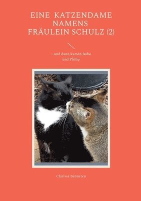 bokomslag Eine Katzendame namens Fräulein Schulz (2)