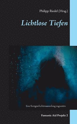 Michael Aufleger, Heiko Birner, Alexander Blumtritt - Lichtlose Tiefen, Häftad