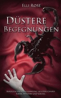 bokomslag Düstere Begegnungen