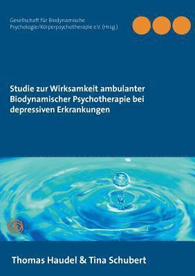 Thomas Haudel, Tina Schubert, Psychologie/Körperpsychotherapie E V, Psychologie/Körperpsychotherapie E. V., Psychologie/Körperpsychotherapie e.V., Gesellschaft für Biodynamische Psychologie/Körperpsychotherapie e. V. (Hrsg. - Studie zur Wirksamkeit ambulanter Biodynamischer Psychotherapie bei depressiven Erkrankungen, Häftad