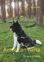 bokomslag American Akita