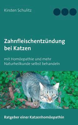 Zahnfleischentzündung bei Katzen 1