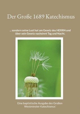 Gerhard Roth - Große 1689 Katechismus, Häftad