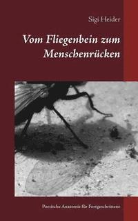 bokomslag Vom Fliegenbein zum Menschenrücken